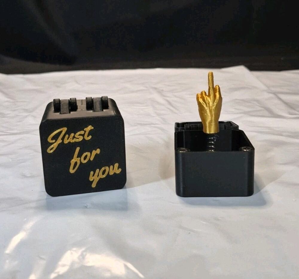 (2) Middle Finger in a Box,Gag Gifts, Funny Gifts for Men, Gag Gifts Funny Adult